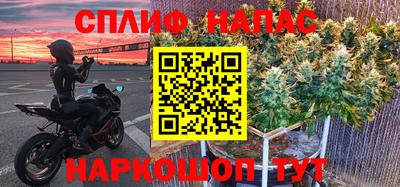 гашик Краснознаменск