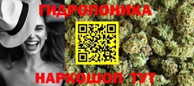 гашик Краснознаменск