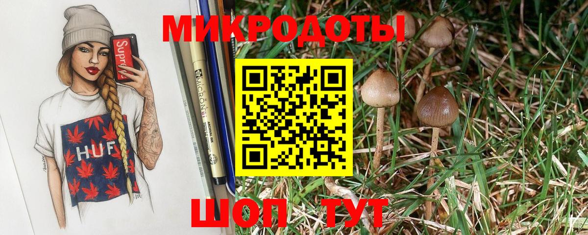 Галлюциногенные грибы Psilocybe  Вход с VPN  Чебаркуль 