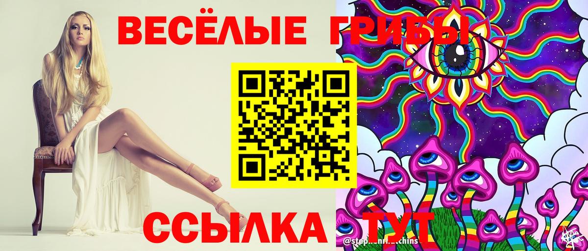 Псилоцибиновые грибы Psilocybine cubensis Чебаркуль